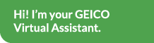 Hi! I'm the GEICO Virtual Assistant!